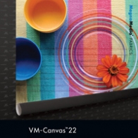 VM-Canvas™ 22
